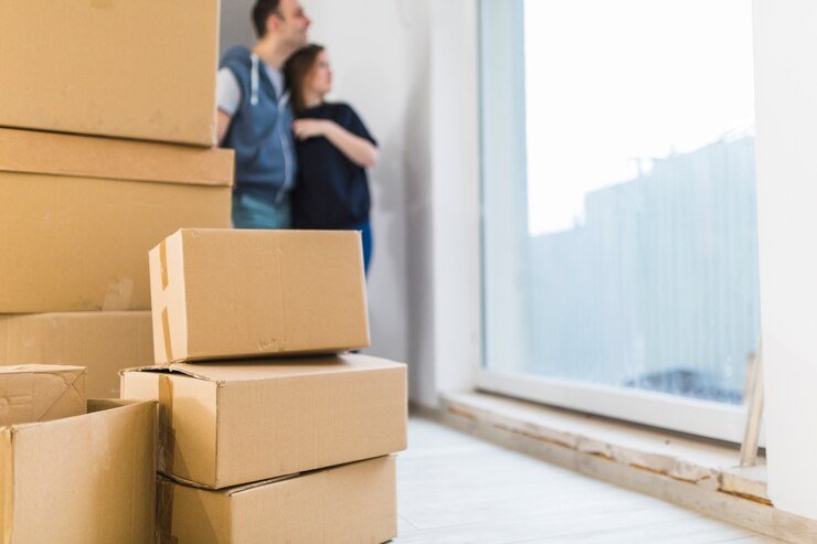 Best Moving Companies in Saidapet